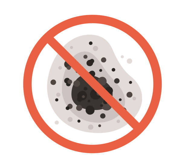 Best Forensic Mold Investigation  in Rialto, CA
