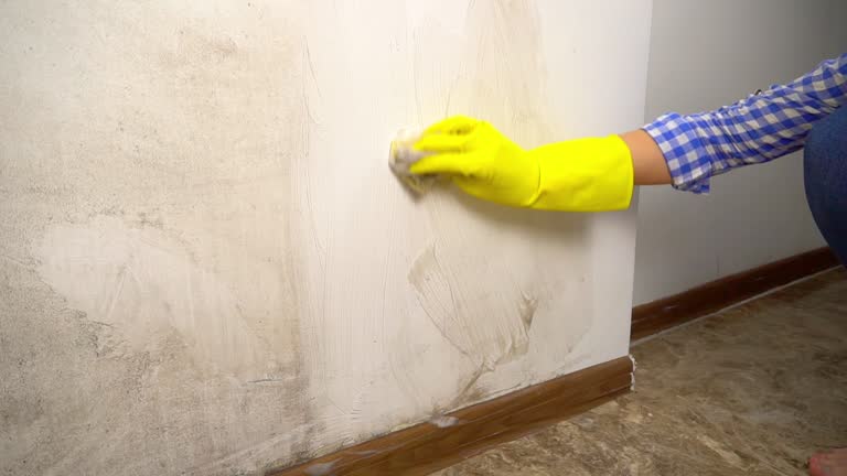 Best HVAC Mold Inspection and Cleaning  in Rialto, CA