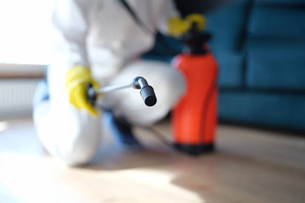 Best Water Damage & Mold Remediation  in Rialto, CA