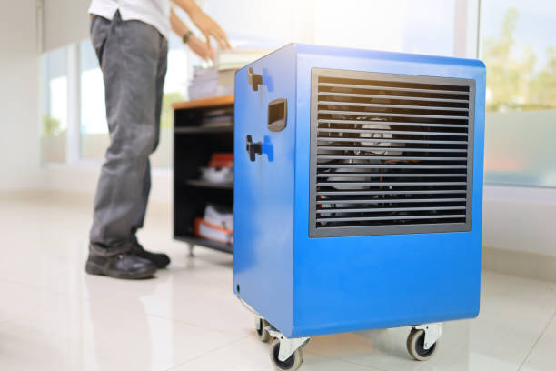 Best Basement Mold Removal  in Rialto, CA